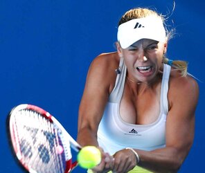 Wonderful tennis players