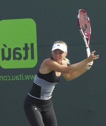 Wonderful tennis players