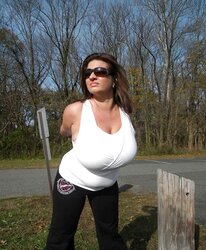 Curvaceous Lovelies 12 Clad Edition