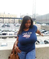 Curvaceous Lovelies 12 Clad Edition