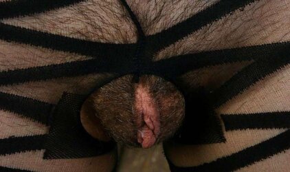 SUPER-HOT AND FUR COVERED - ALEX