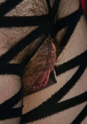 SUPER-HOT AND FUR COVERED - ALEX