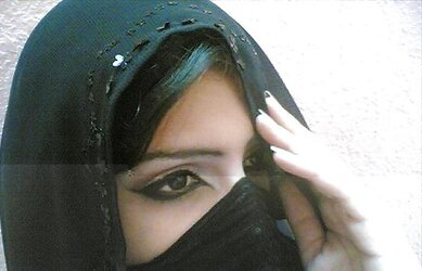 ARABIAN COCKSLUTS