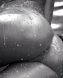Kink Paramours