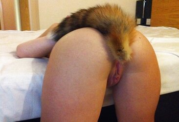 Donk ass-plug tails