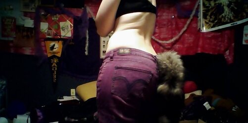 Donk ass-plug tails