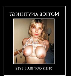 Poster Wives trio - Is your wifey here?