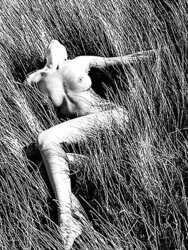 Bare Picture Art 9 - Gavin Oneill