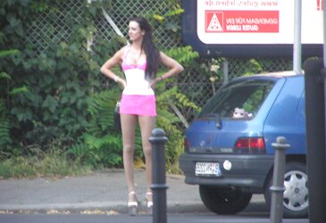 Real Street Escorts