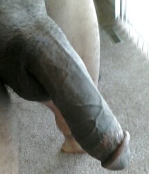 MMMMM He is so large!