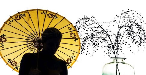 Janine - Cool Silhouette