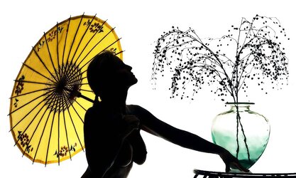 Janine - Cool Silhouette