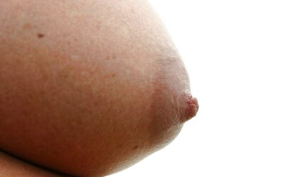 Pregnant fuck-a-thon