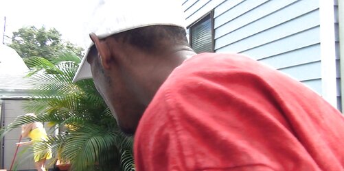 Backyard Cougar Tracy Eats Gets Tamed By the Bandit!!