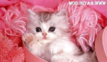 For my sweety Lan