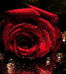 For my sweety Lan