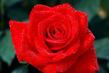 For my sweety Lan