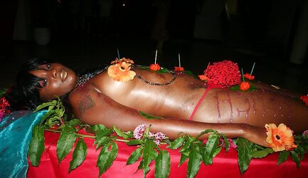 Human plate