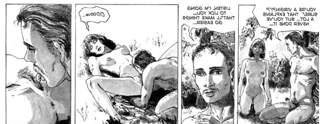 Erotic Comic Art 22 - Aunt Paulines Secret