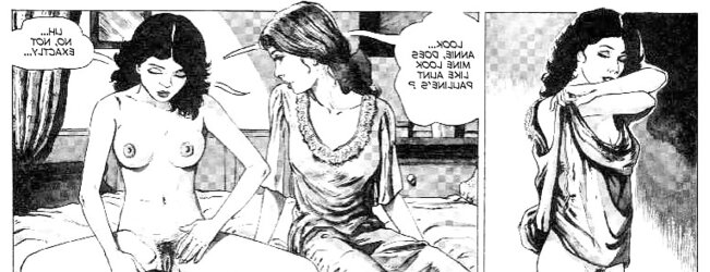 Erotic Comic Art 22 - Aunt Paulines Secret