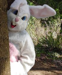 Inexperienced 11 - bunny sensational