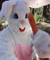 Inexperienced 11 - bunny sensational
