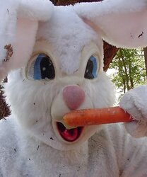 Inexperienced 11 - bunny sensational