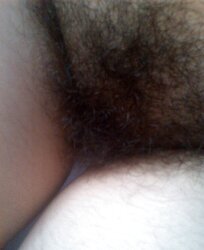 Beautifull Sativas privat pictures