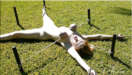 DOMINATION & SUBMISSION ThorHammer