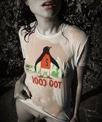 Attic Series Exclusive (The Sabrina Dacos Set)