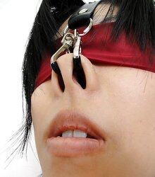 Nose Hooks For Insatiable Nymphos! Vol.two - By: FTW