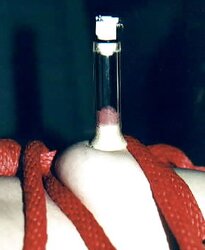 KEY - Horniness in Straps and Clothespins