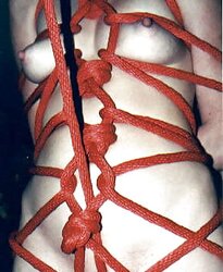 KEY - Horniness in Straps and Clothespins