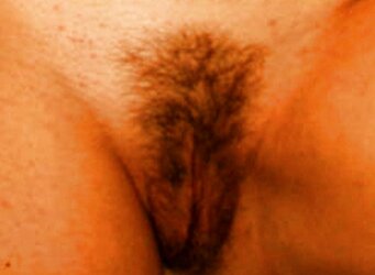 Xoxotas Maranhenses em Close