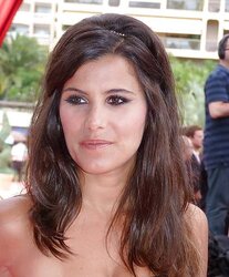 Karine Ferri French TV Presenter with fantastic gams