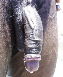 Mingled Ample Ebony Boners