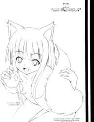 Spice and wolf manga