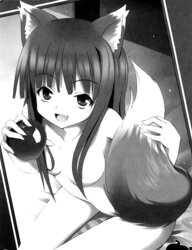 Spice and wolf manga