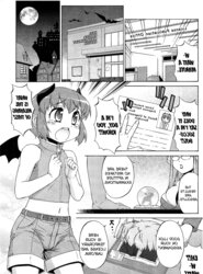A Succubus at Work