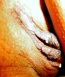 Meaty Splooge Slit