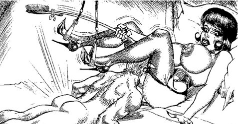 Endrocartoons