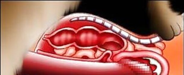 Anatomic Design
