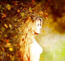 Desires of Autumn Fall.