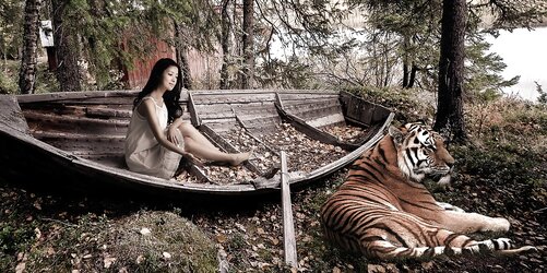 Desires of Autumn Fall.