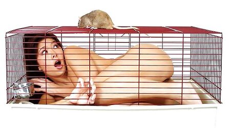 Funny pictures colection