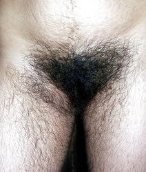 Wooly vag and gams