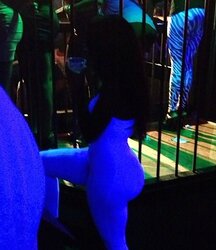 Qt with a ass