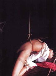 Shibari Asian Fucksluts