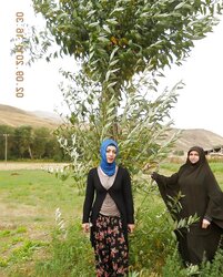 Turkish arab asian turbanli hijab yeni yeni yeni