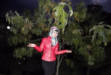 Turkish arab asian turbanli hijab yeni yeni yeni